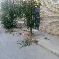 مغازه نقلی برای دفتر انباری در اندیشه ایثار