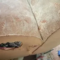 مبل وتلویزیون سامسونگ 500 هزار|مبلمان خانگی و میز عسلی|دورود, |دیوار