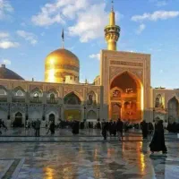 تورمشهدالرضا