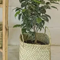 ظروف حصیری|آب‌چکان و نظم‌دهنده ظروف|بهبهان, |دیوار