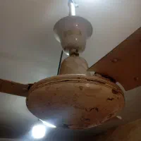 پنکه سقفی|پنکه و تصفیه‌کنندهٔ هوا|شیراز, دلجو|دیوار