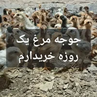 اگزوز ۱۲۵|قطعات یدکی و لوازم جانبی|اندیمشک, |دیوار