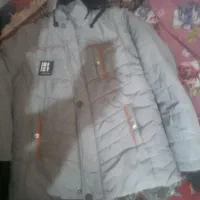 لوازم شخصی|کیف، کفش، کمربند|اهر, |دیوار