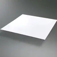 تایل پی وی سی ۶۰ ×۶۰ و پنل پی وی سی ۲۰×۶۰۰ سقفی|مصالح و تجهیزات ساختمان|مشهد, عامل|دیوار