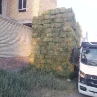 یونجه‌درجه‌یک‌چین‌دو
