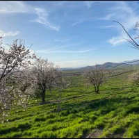 6-هکتار-زمین-کشاورزی