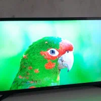 تلویزیون LED برند SAMSUNU 32 درحدنو
