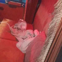 نیسان دوگانه سوز گاز سیمی مدل|خودرو سواری و وانت|ارسنجان, |دیوار