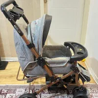 کالسکه دلیجان مدل بنیتا