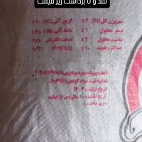 کودمرغی پلیت|خدمات باغبانی و درختکاری|دهلران, |دیوار