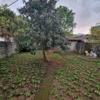 روستای برند/۳۰۰ متر با بنای قدیمی/با سند
