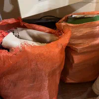 پک تیکه پارچه و کالیته