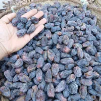 خرمای شاوی پاک کرده