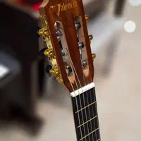 گیتار کلاسیک هافنر ( آموزشگاه موسیقی سینا )|گیتار، بیس، امپلیفایر|پردیس, فاز ۲|دیوار