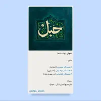 همکاری جهادی رسانه
