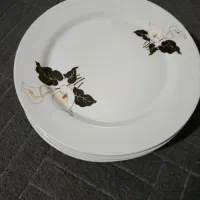 ظرف برنج خوری چینی اصل و چند مدل ظرف دیگه|ظروف سرو و پذیرایی|قم, حقیقت|دیوار