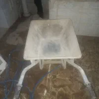فرقون
