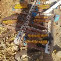 پنجه غازی