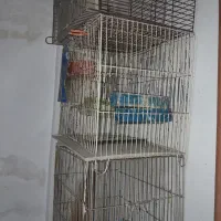 ( حراج ) فایر زدم بمالم