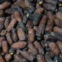 پیارم نوبرانه سال ۱۴۰۴