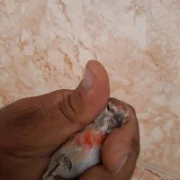 سهرها ی بخون وزیبا