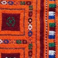 دوزنده بنوک دمنی دوز و موسوم