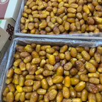 رطب زاهدی(قصب)