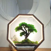 شب خواب بنسای جاودان