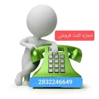 خط تلفن رند