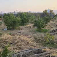 فروش باغ پرتقالی بروی جاده ترانزیت شیراز بندرعباس