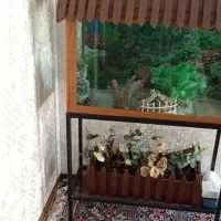 اکواریوم کاملا سالم