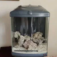 آکواریوم ماهیران TL550 آب شور ماهیران