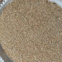 گندم شکسته 2تن. (24500تومن)|عمده‌فروشی|رامشیر, |دیوار