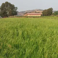 باغ ۲۰۰ متری با فنس و درب ورودی شموشک