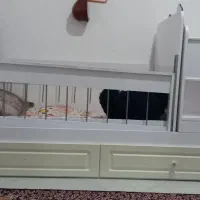 گهواره تخت شو