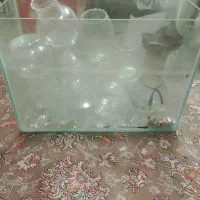 اکواریوم