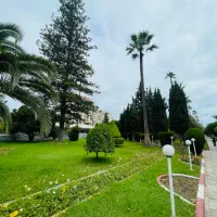 20-5-قصب-زمین-دهکده-پردیس-هفت-باغ