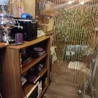 اجاره مغازه|اجارهٔ مغازه و غرفه|رشت, خمیران زاهدان|دیوار