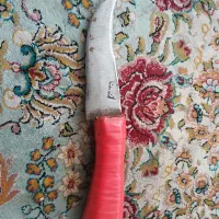 چاقو خوری نو دسته استخوانی
