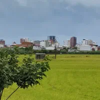 راهنمایی کنید لطفا