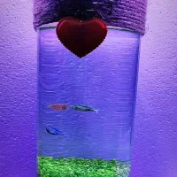 انواع تنگ ماهی با چمن طبیعی جایگزین سبزه عید