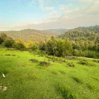 زمین روستایی (1500متری کوهپایه)  در شهرستان سیاهکل|فروش زمین و ملک کلنگی|رشت, گیل|دیوار