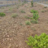 باغ لوکیشن خوب