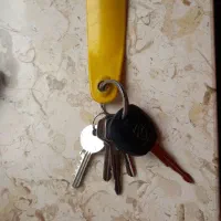 سوییچ پیدا شده