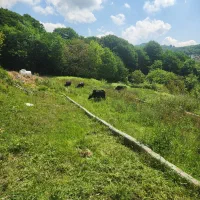 مشارکت در ساخت مجموعه ورزشی (پدل/تنیس)