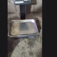 یک عددترازودیجیتال ۵۰ک پندازمابفروش میرسد
