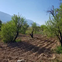 باغ ۱۰۰۰ متری در مهارلو|فروش زمین و ملک کلنگی|شیراز, جانبازان|دیوار