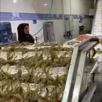 سردخانه ماهی و میگو|فروش دفتر صنعتی، کشاورزی، تجاری|بندرلنگه, |دیوار