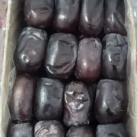 رطب مضافتی بم