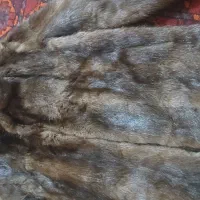 پالتو ...طبیعی|لباس|مینودشت, |دیوار